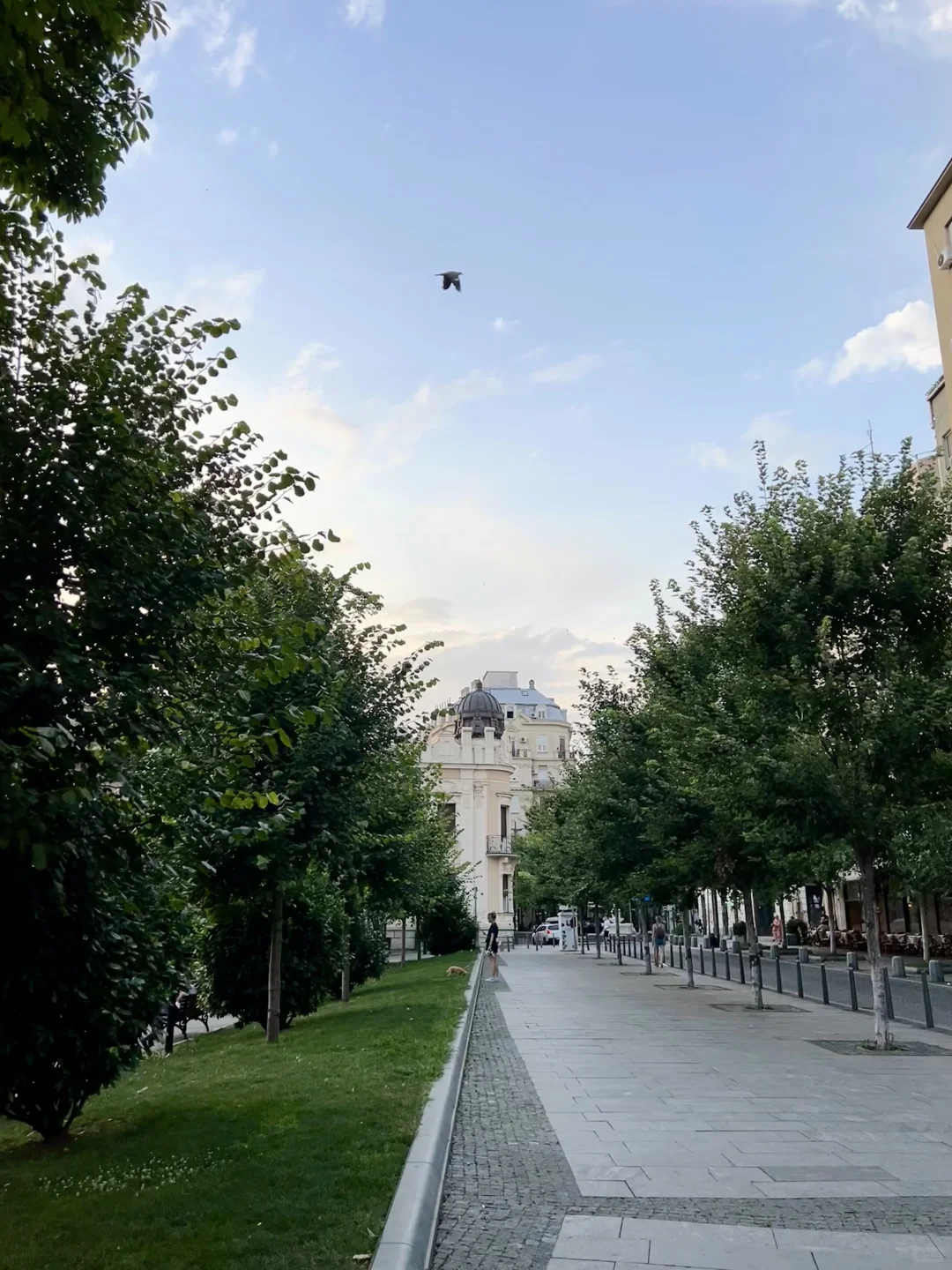 欧洲第一免签国🇷🇸花2800玩了七天