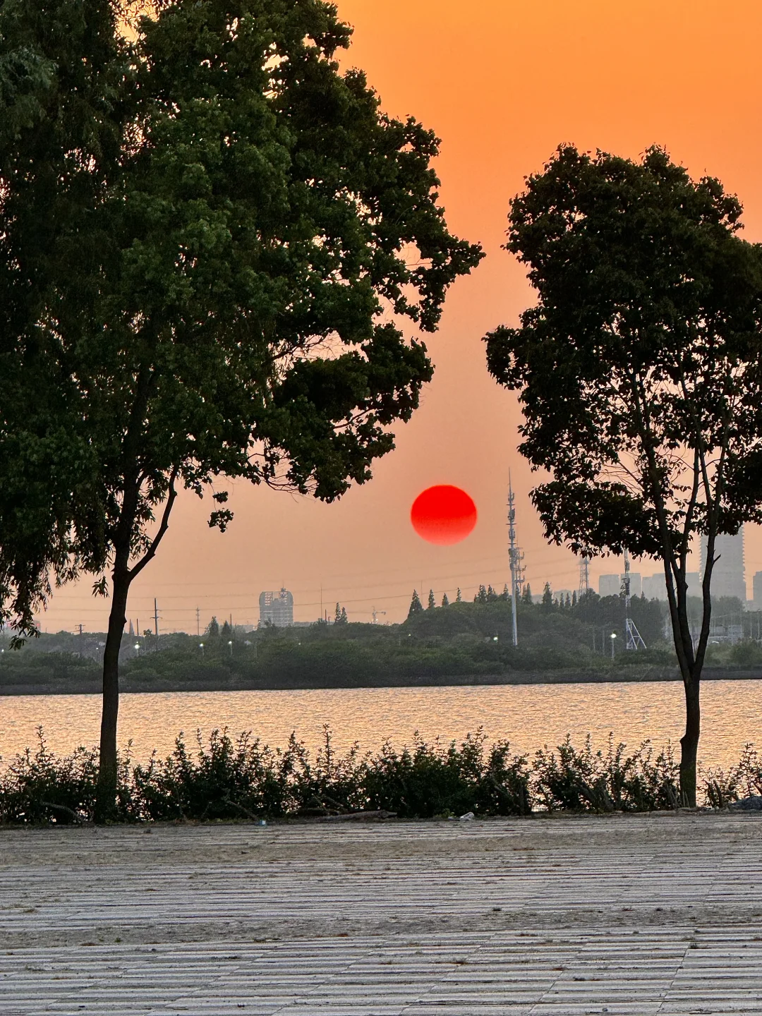 live合集！苏州的油画晚霞美到next level了