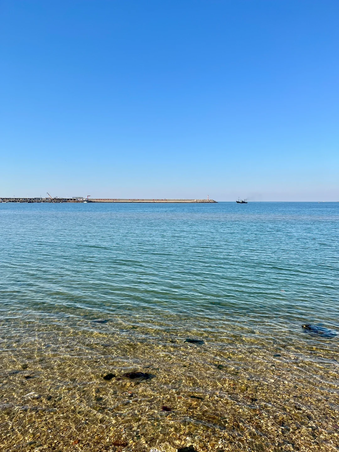 威海3.30春日实况（📍附打卡点）