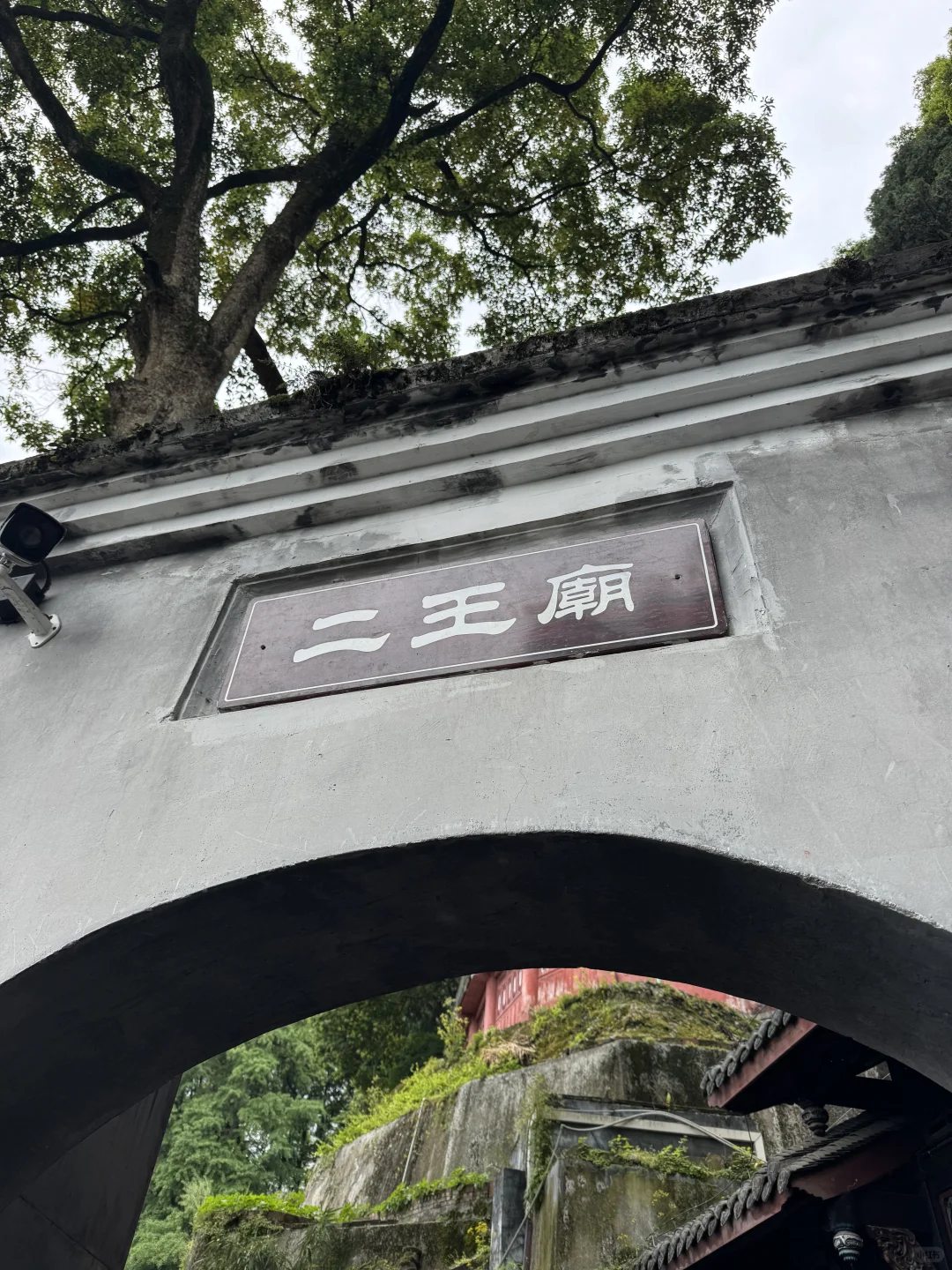 都江堰市一日游攻略