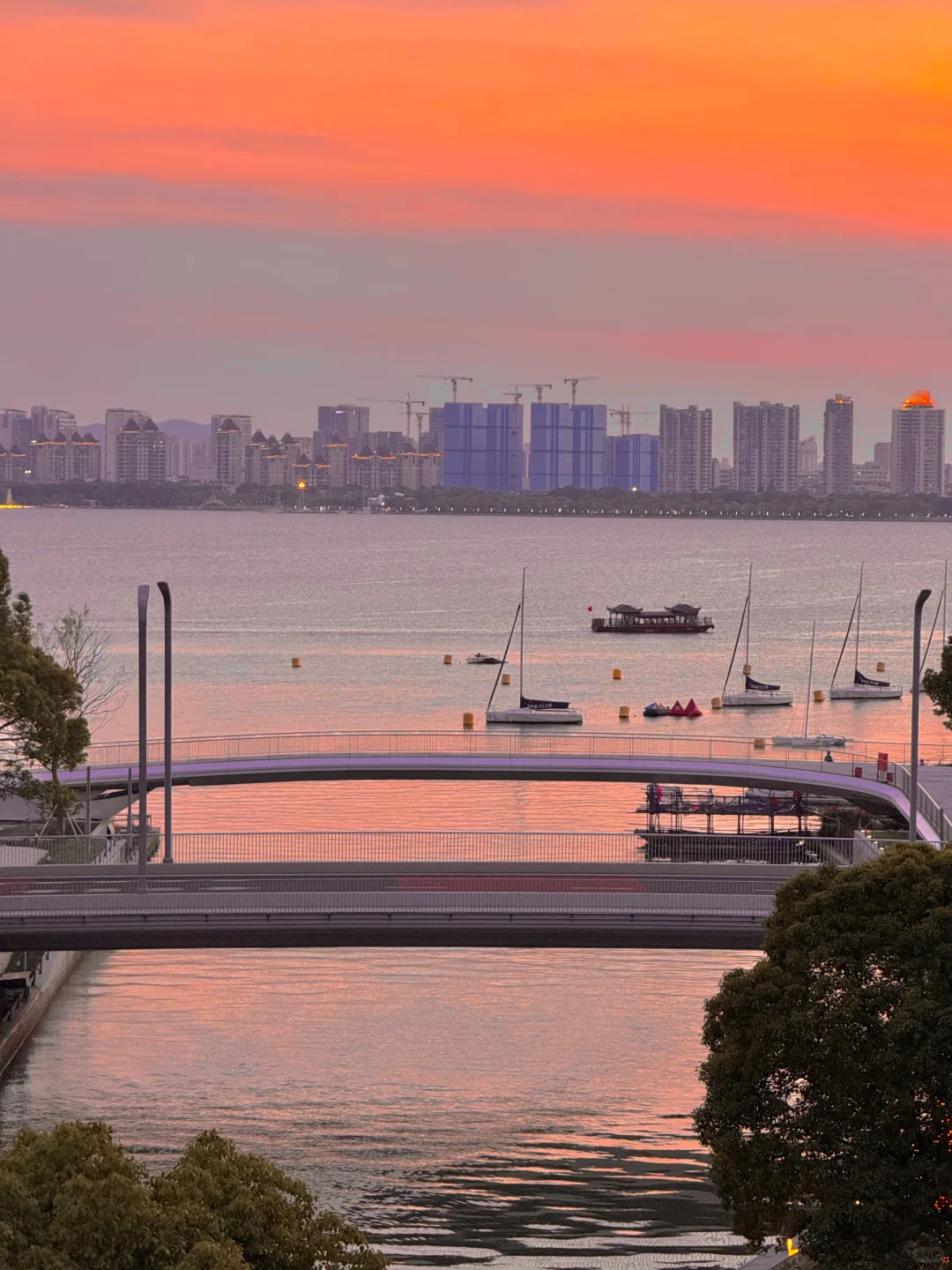 live合集！苏州的油画晚霞美到next level了