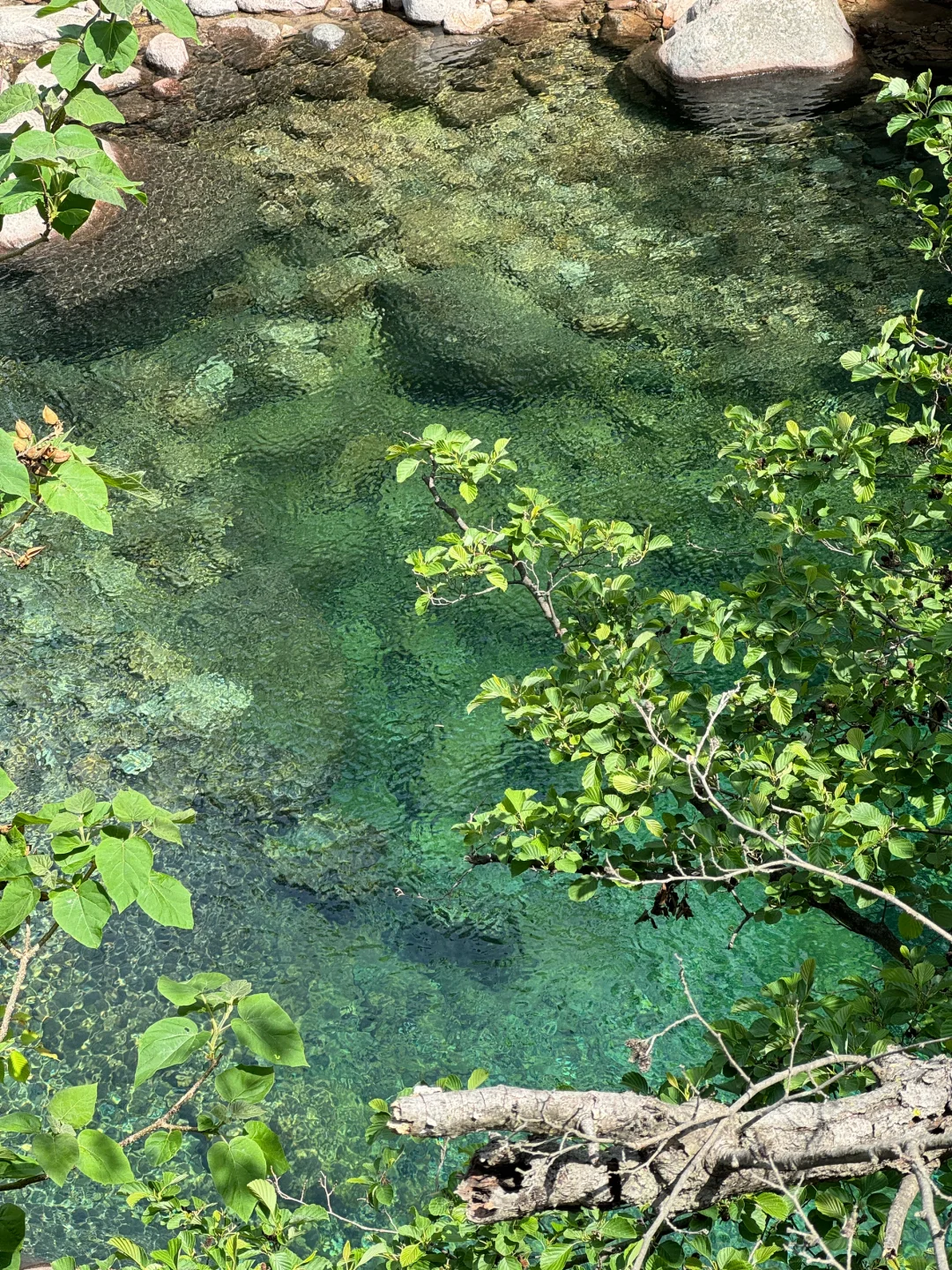 真没去九寨沟！在青岛！⛰️