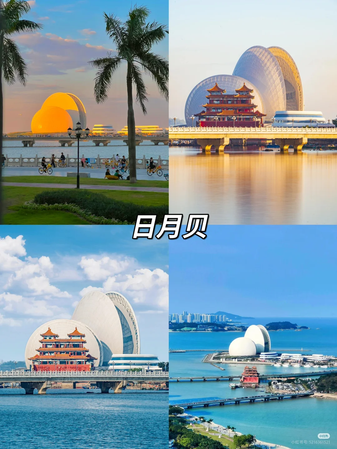 极限珠海一日游📍上班族一天打卡6个景点🔥