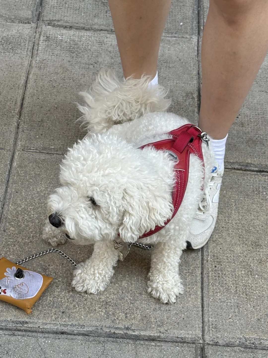 2025年假法国行🇫🇷-day5尼斯