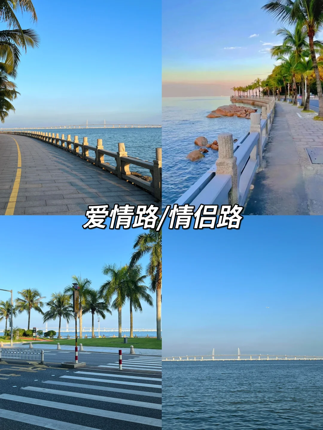 极限珠海一日游📍上班族一天打卡6个景点🔥