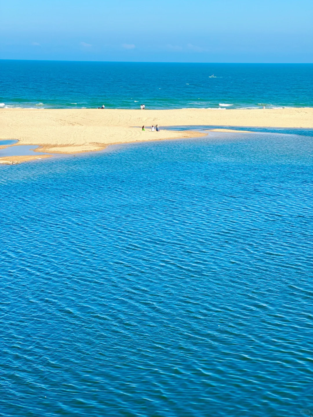 别被误导了！万宁好看的地方其实都是免费的…