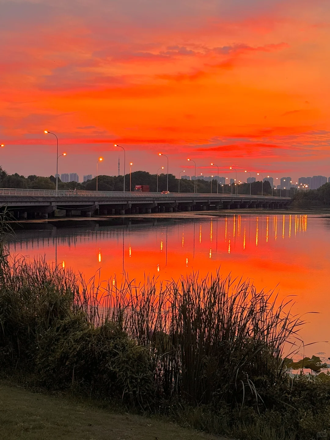 live合集！苏州的油画晚霞美到next level了