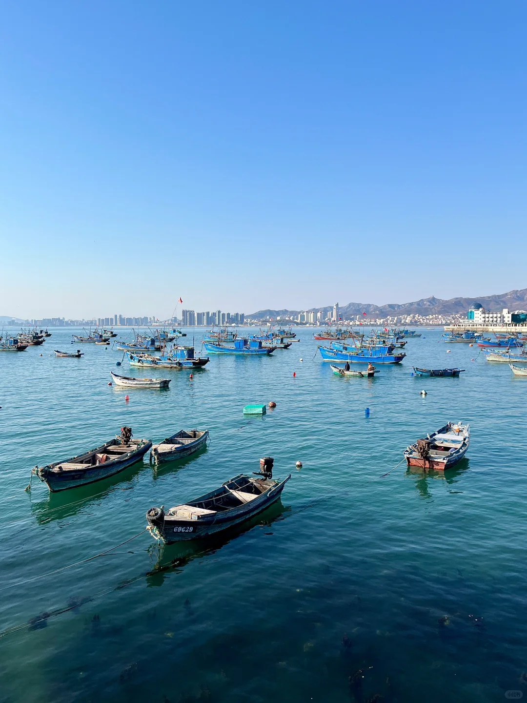 威海3.30春日实况（📍附打卡点）