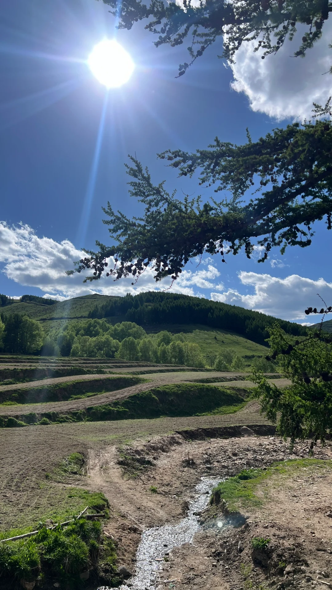 大同周边｜当日往返小众出片旅游景点🌲