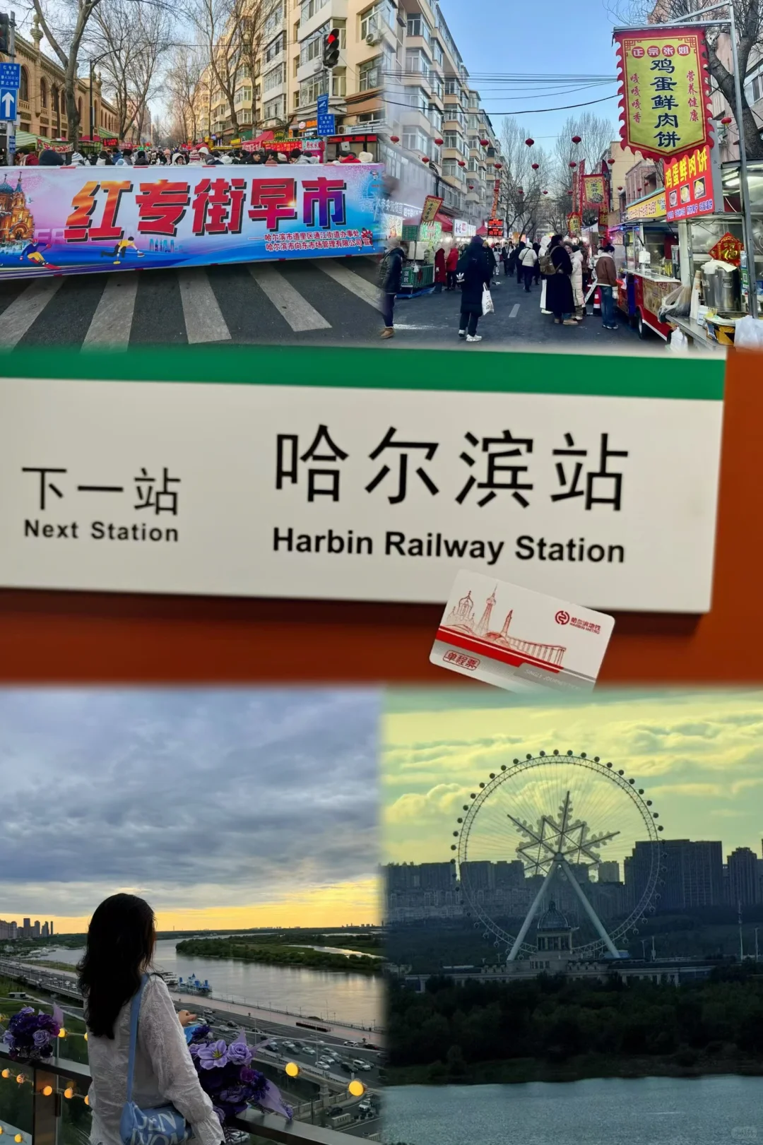 哈尔滨必打卡景点，十一极地馆速通攻略！