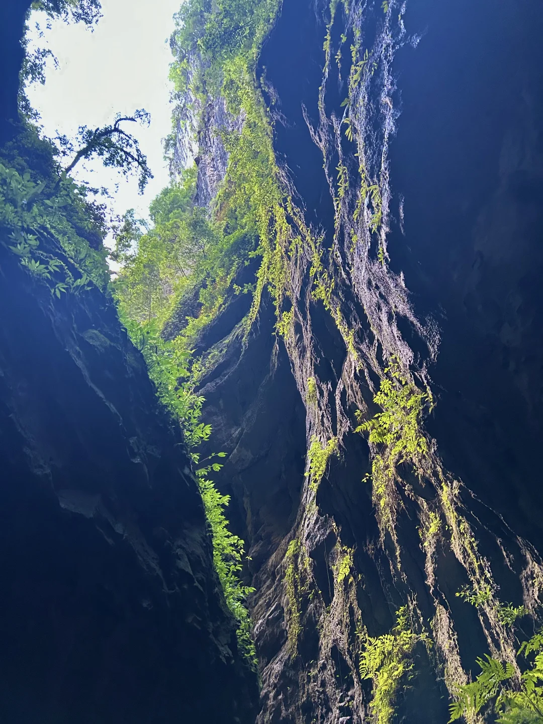 周末来山里吸氧啦