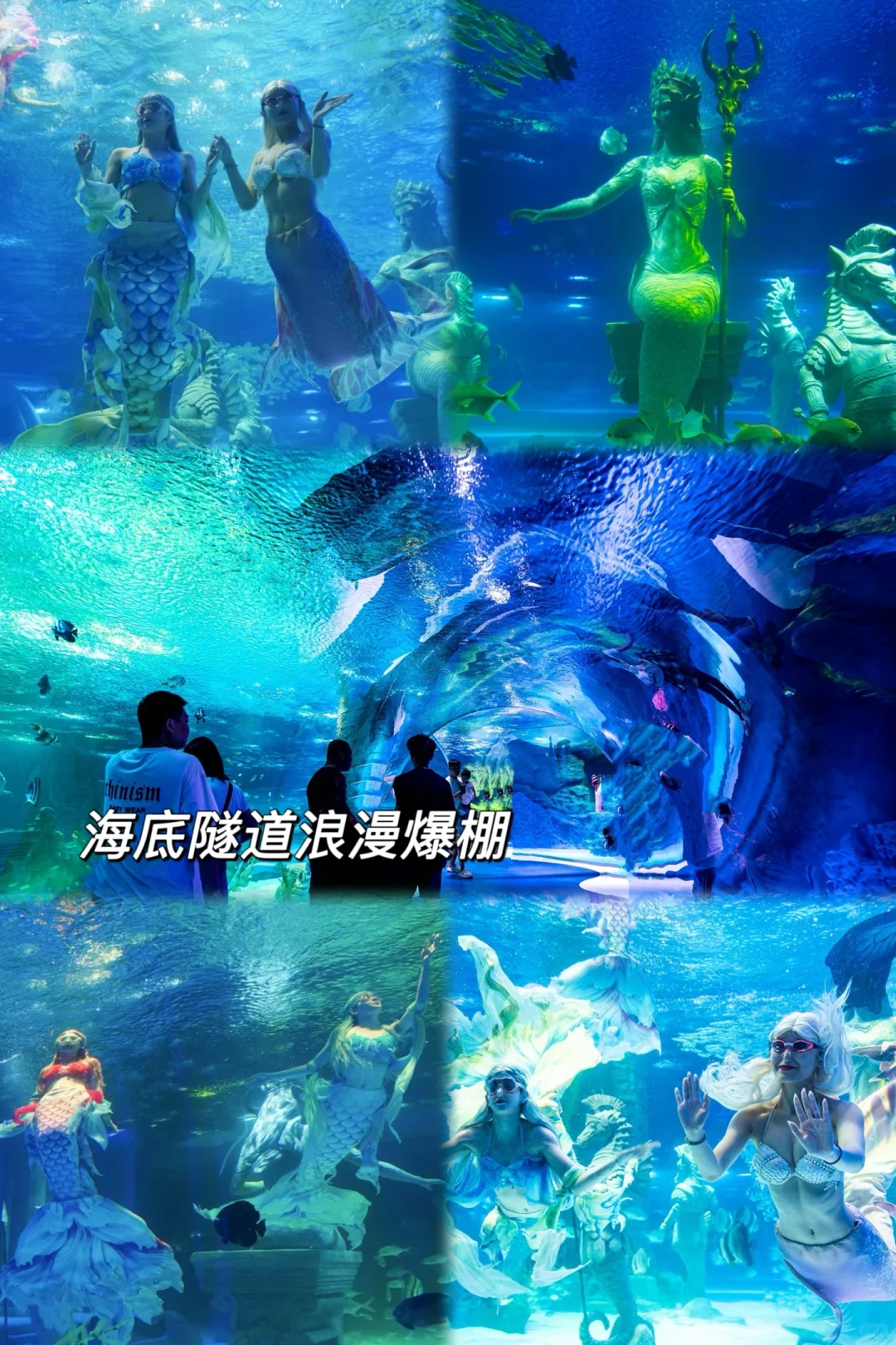 哈尔滨必打卡景点，十一极地馆速通攻略！