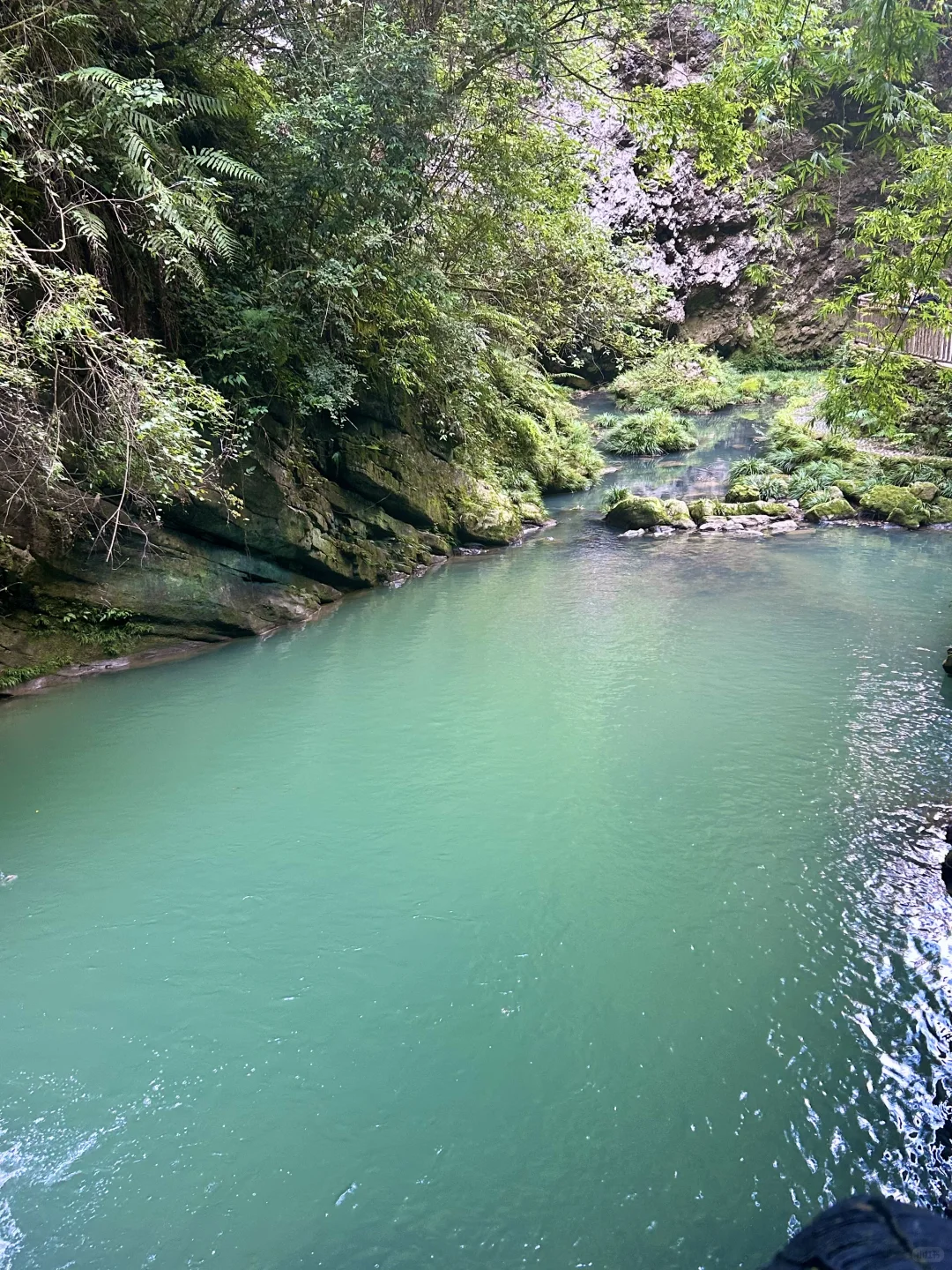 周末来山里吸氧啦