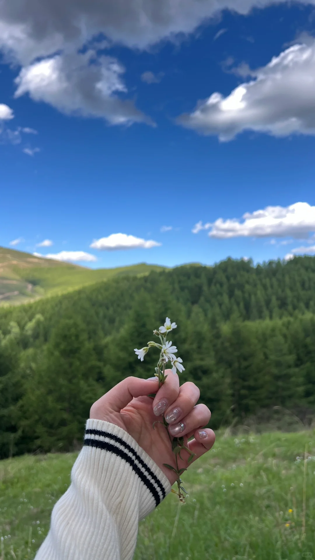 大同周边｜当日往返小众出片旅游景点🌲