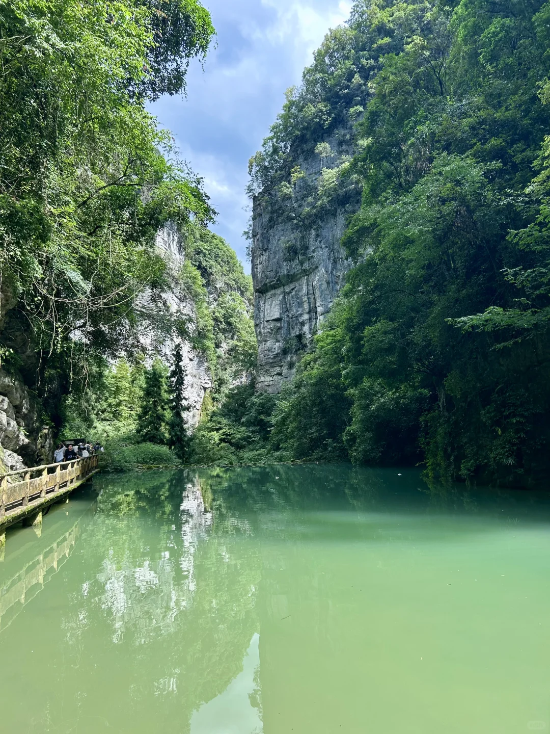 周末来山里吸氧啦