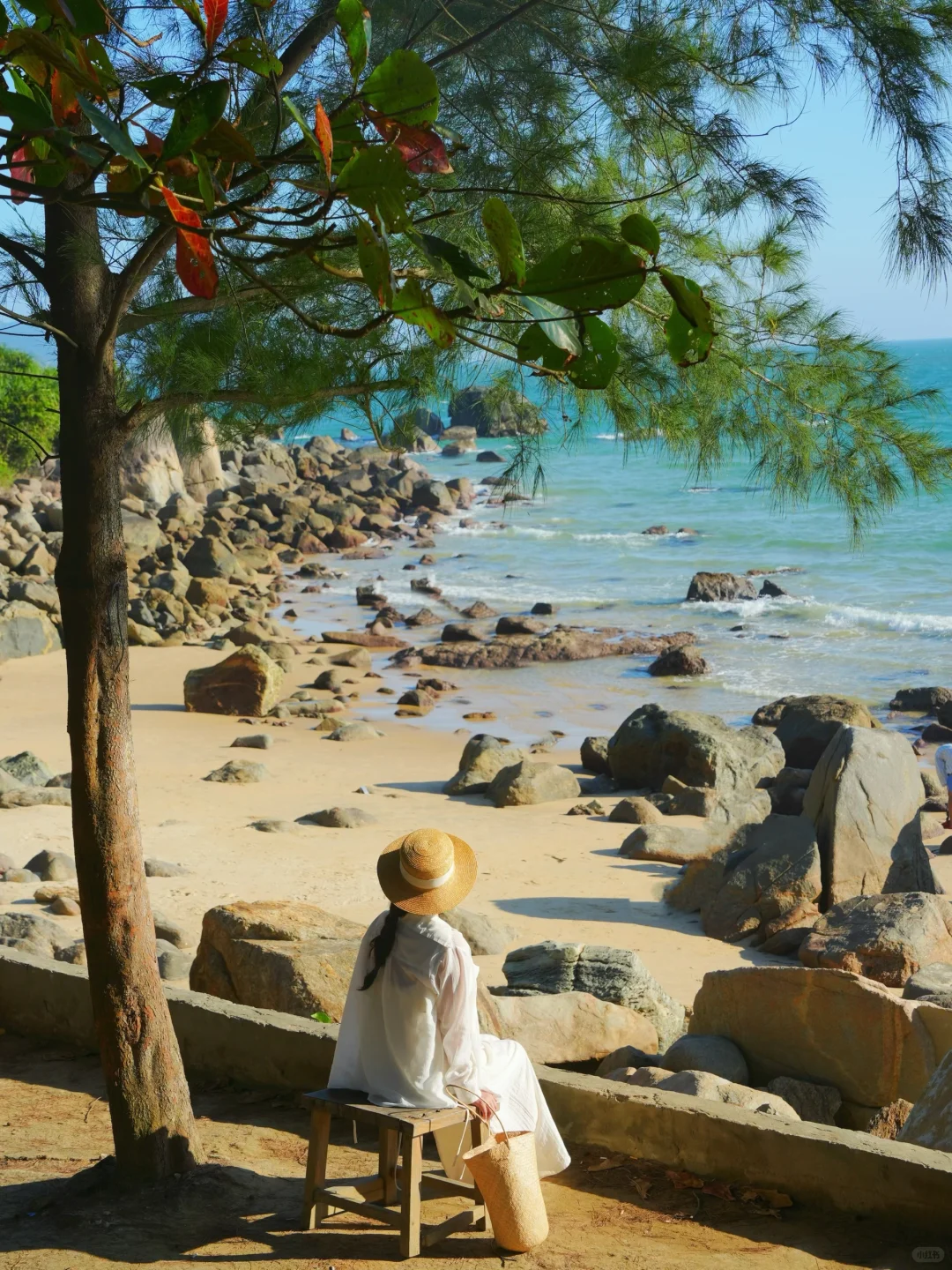 别被误导了！万宁好看的地方其实都是免费的…