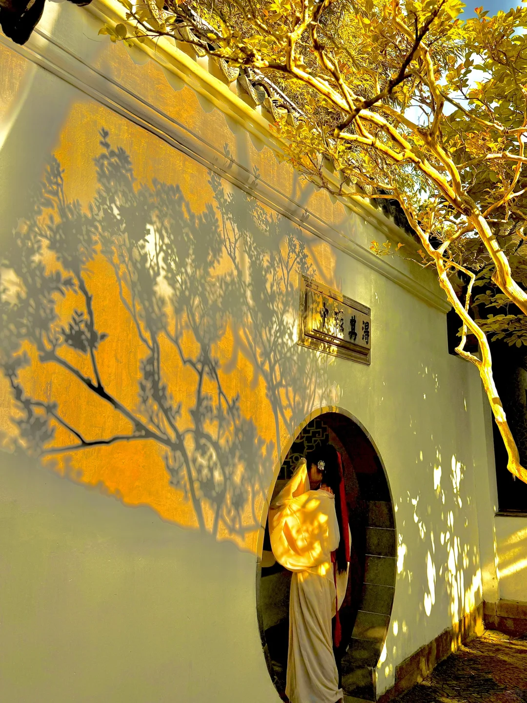 live合集！苏州的油画晚霞美到next level了