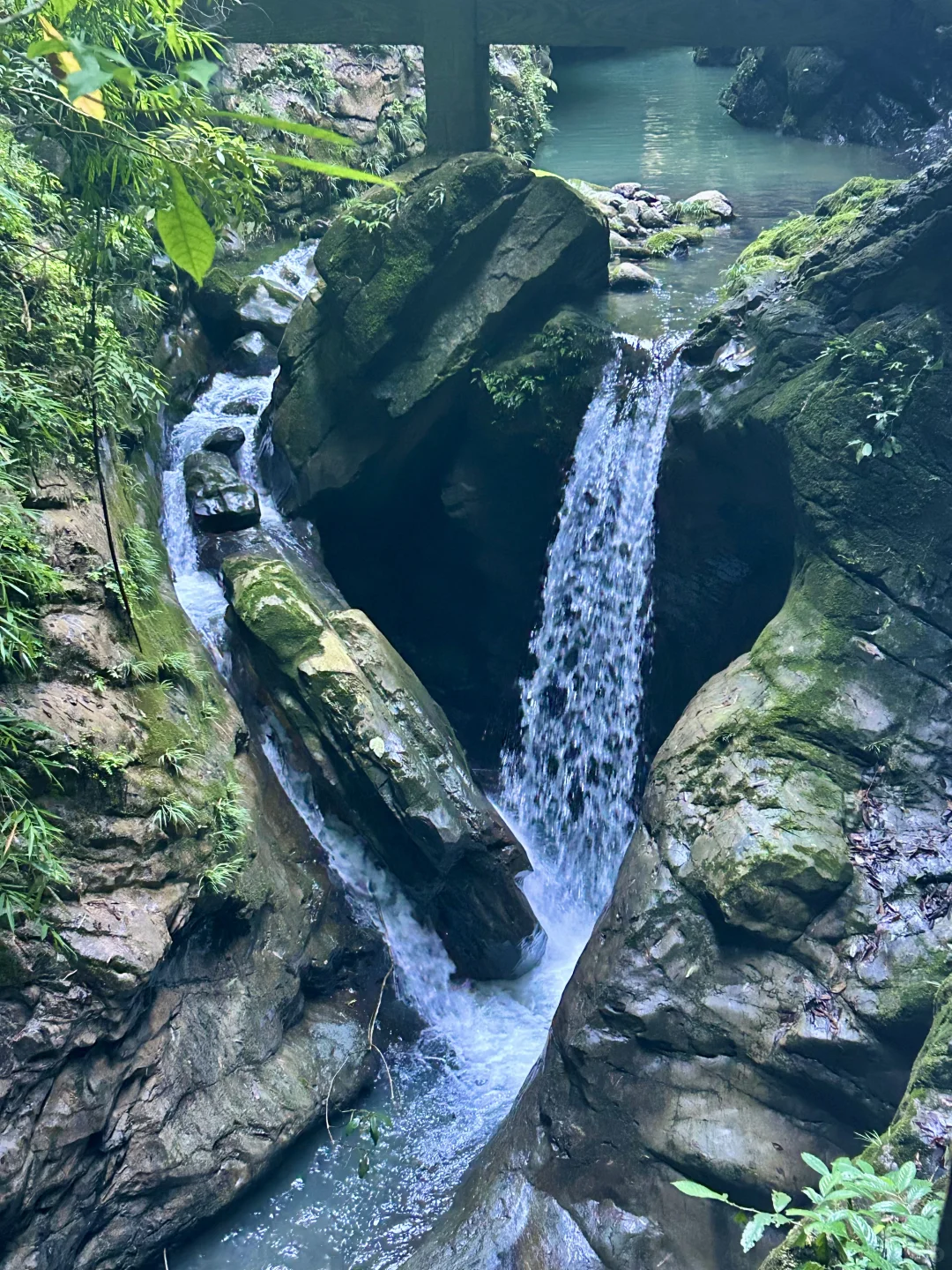 周末来山里吸氧啦