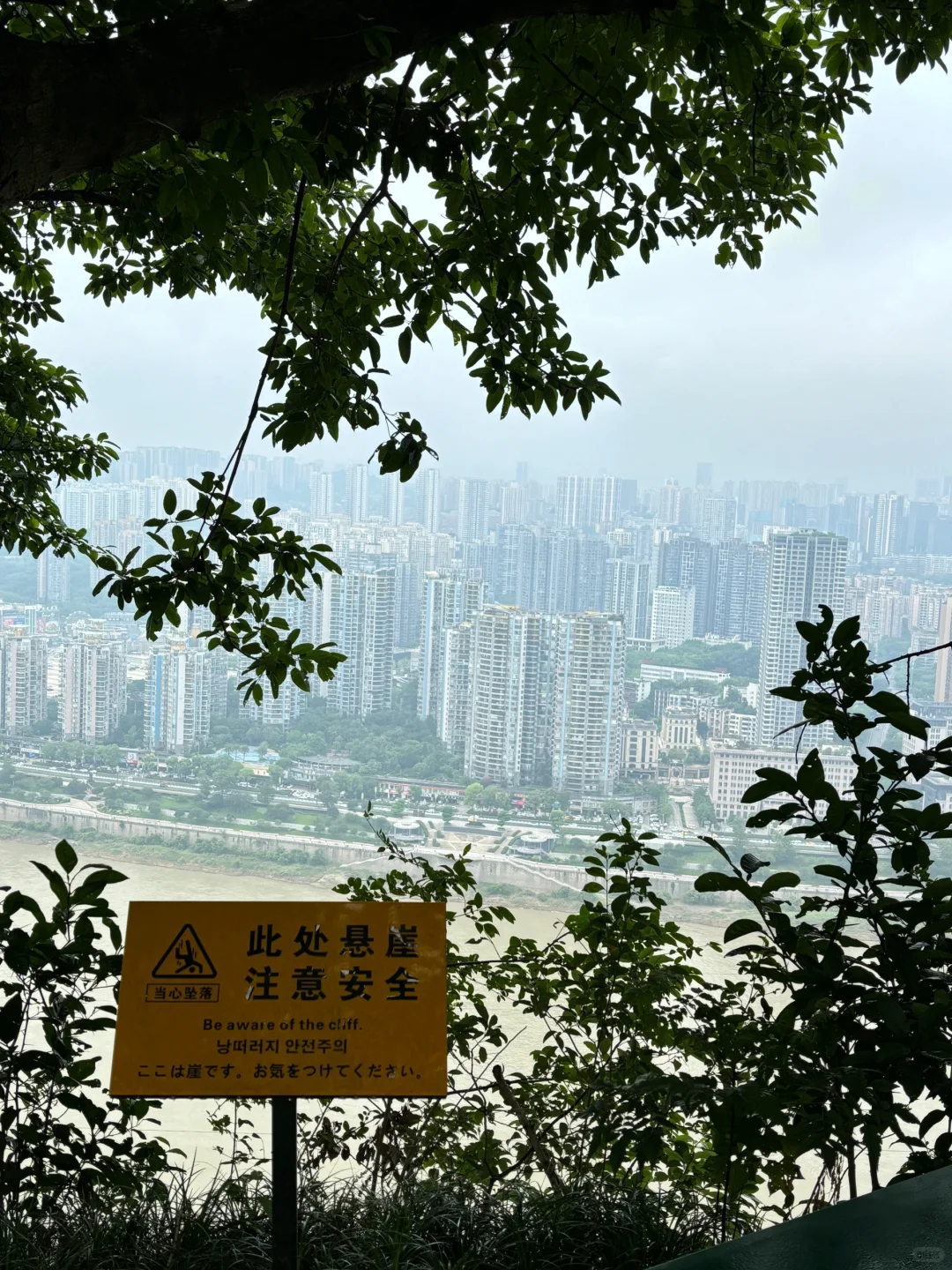 📍 𝑪𝒉𝒐𝒏𝒈𝒒𝒊𝒏𝒈重逢便是庆