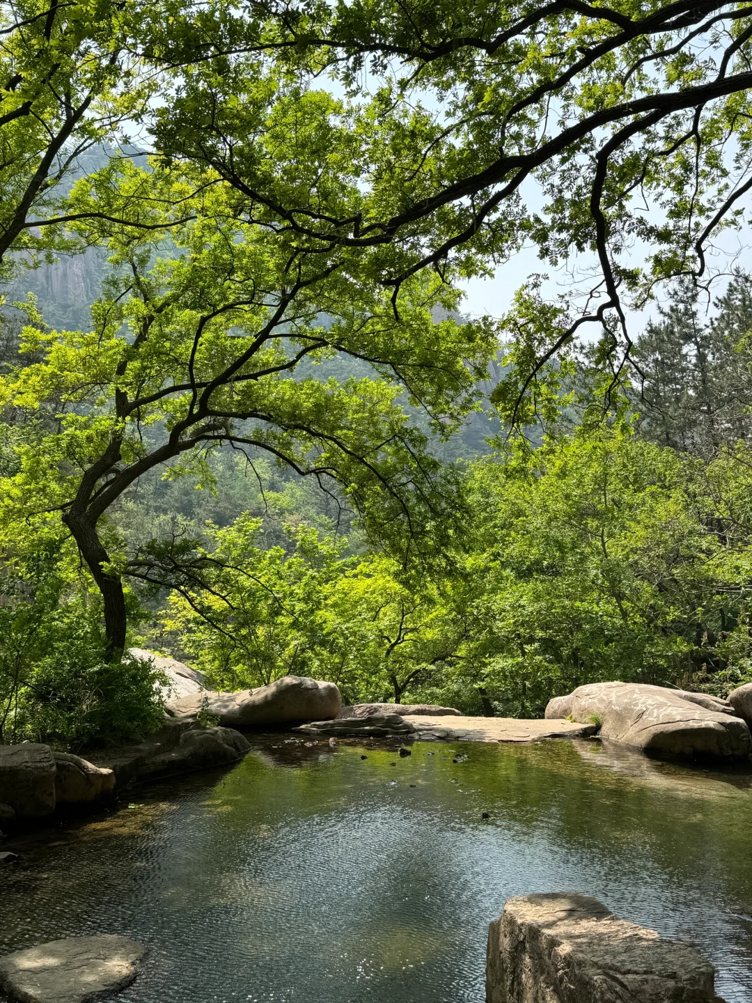 真没去九寨沟！在青岛！⛰️