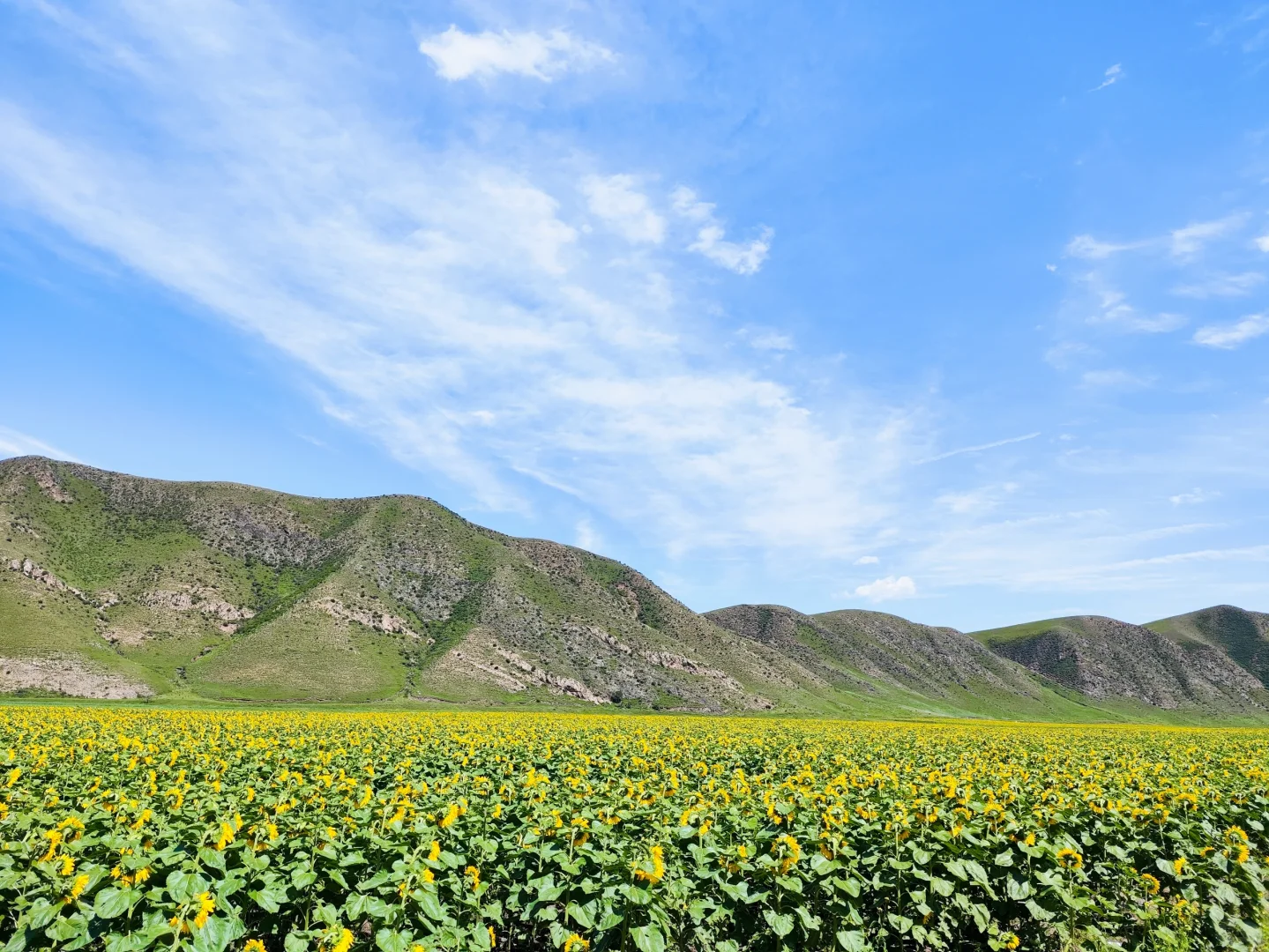 红石崖，不会后悔的绝美小众景点。