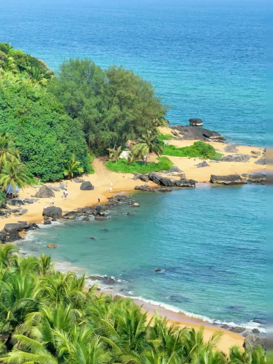 别被误导了！万宁好看的地方其实都是免费的…