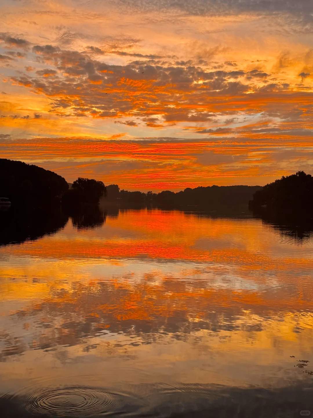 live合集！苏州的油画晚霞美到next level了