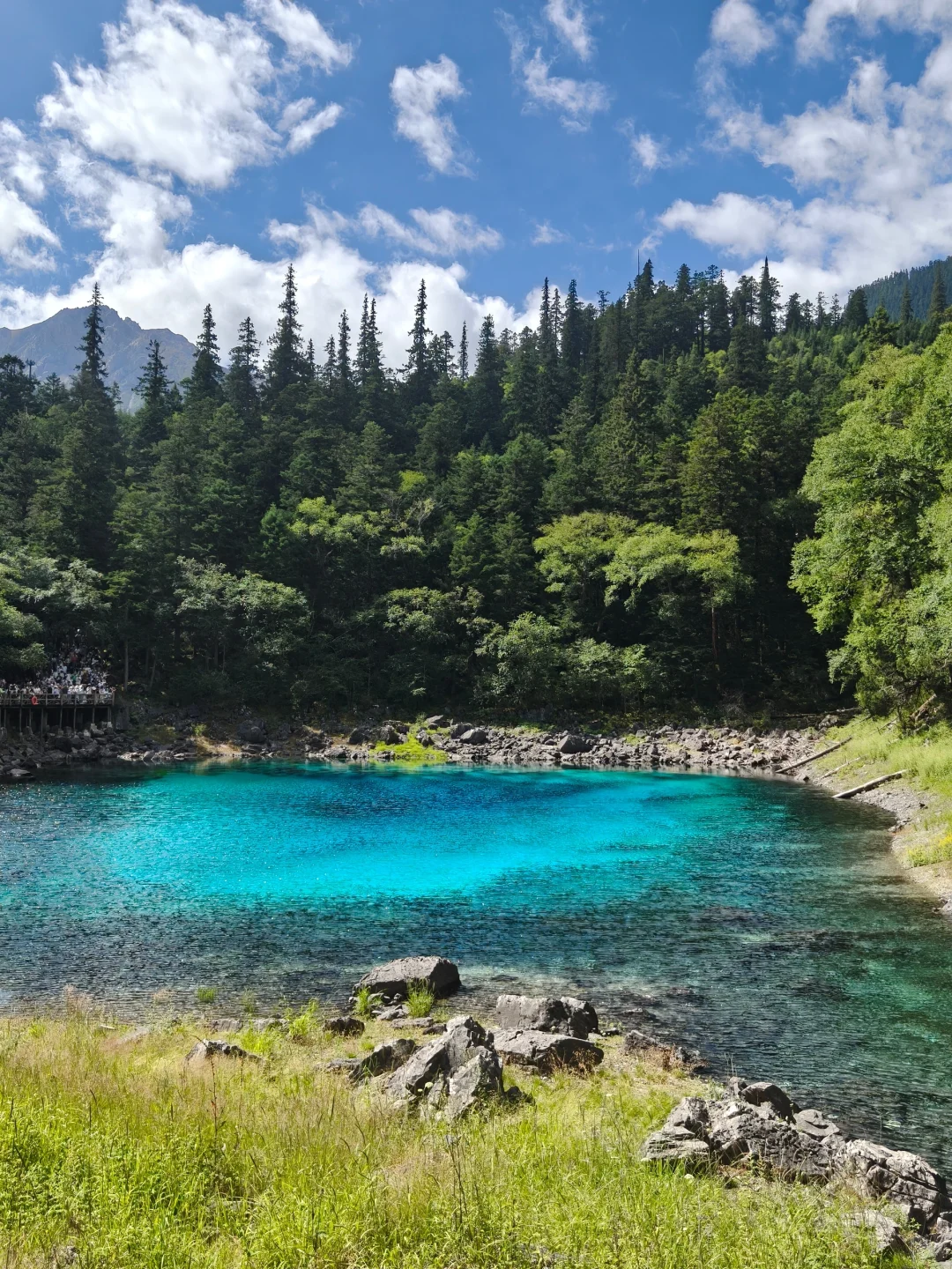 8.9📍九寨沟已回，已被宰🤬内容很脏，但真实