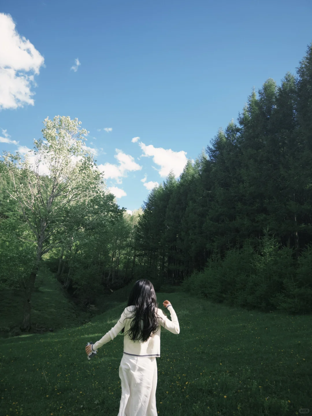 大同周边｜当日往返小众出片旅游景点🌲