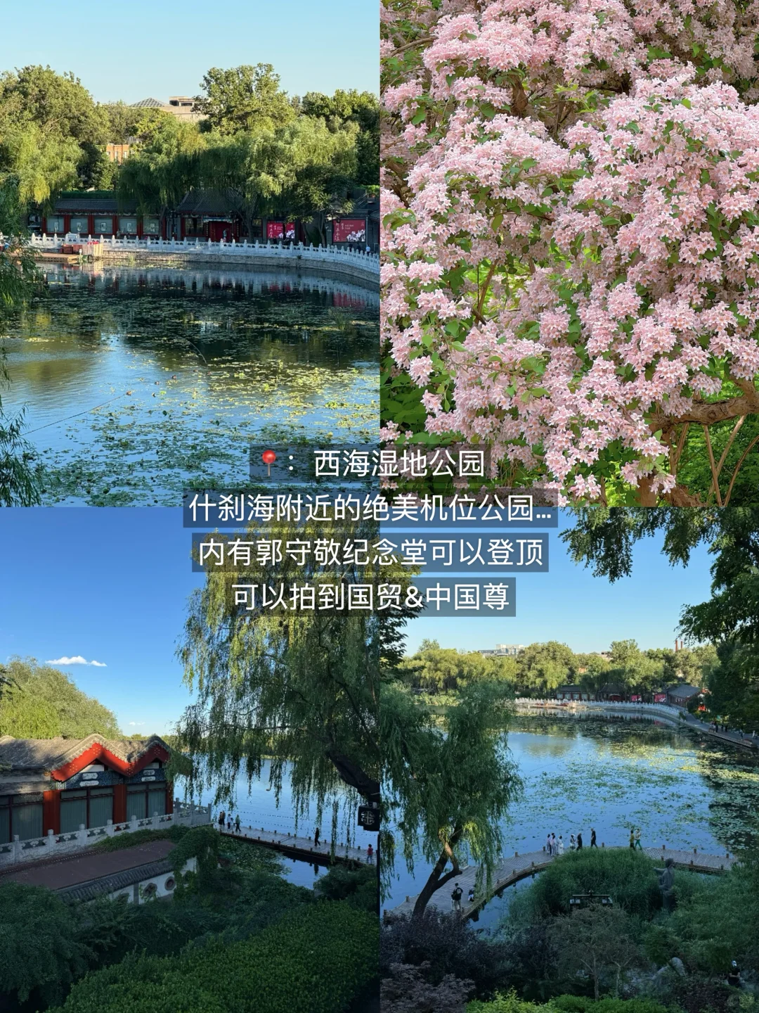 果然。。。北京最牛逼的公园⛲️都是免费的!!!