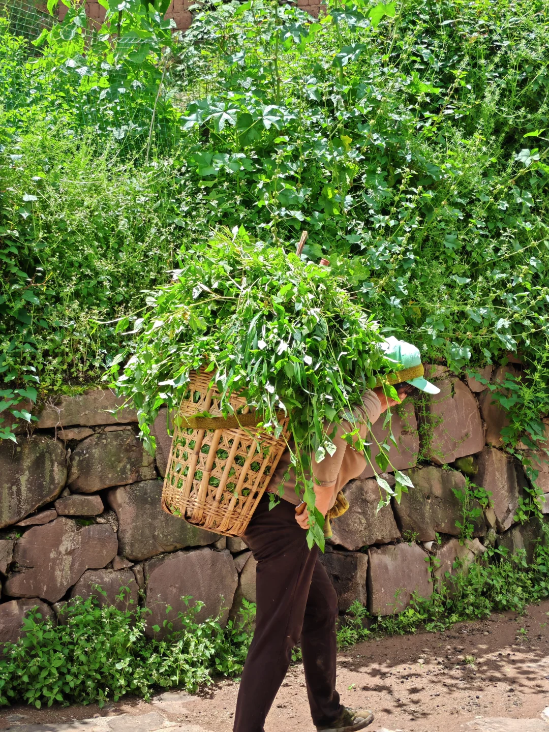 沙溪小众景点-马坪关