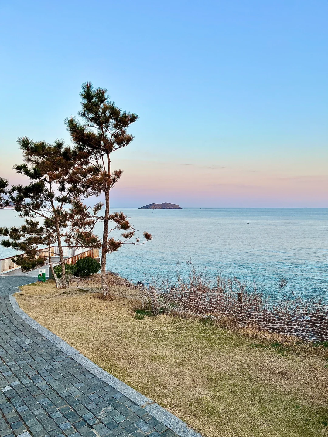 威海3.30春日实况（📍附打卡点）