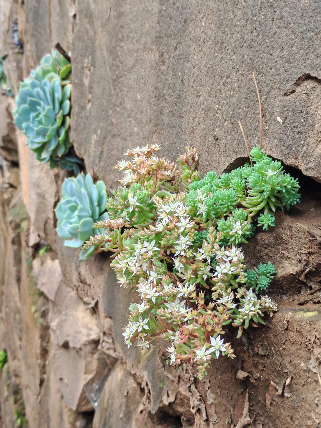 沙溪小众景点-马坪关