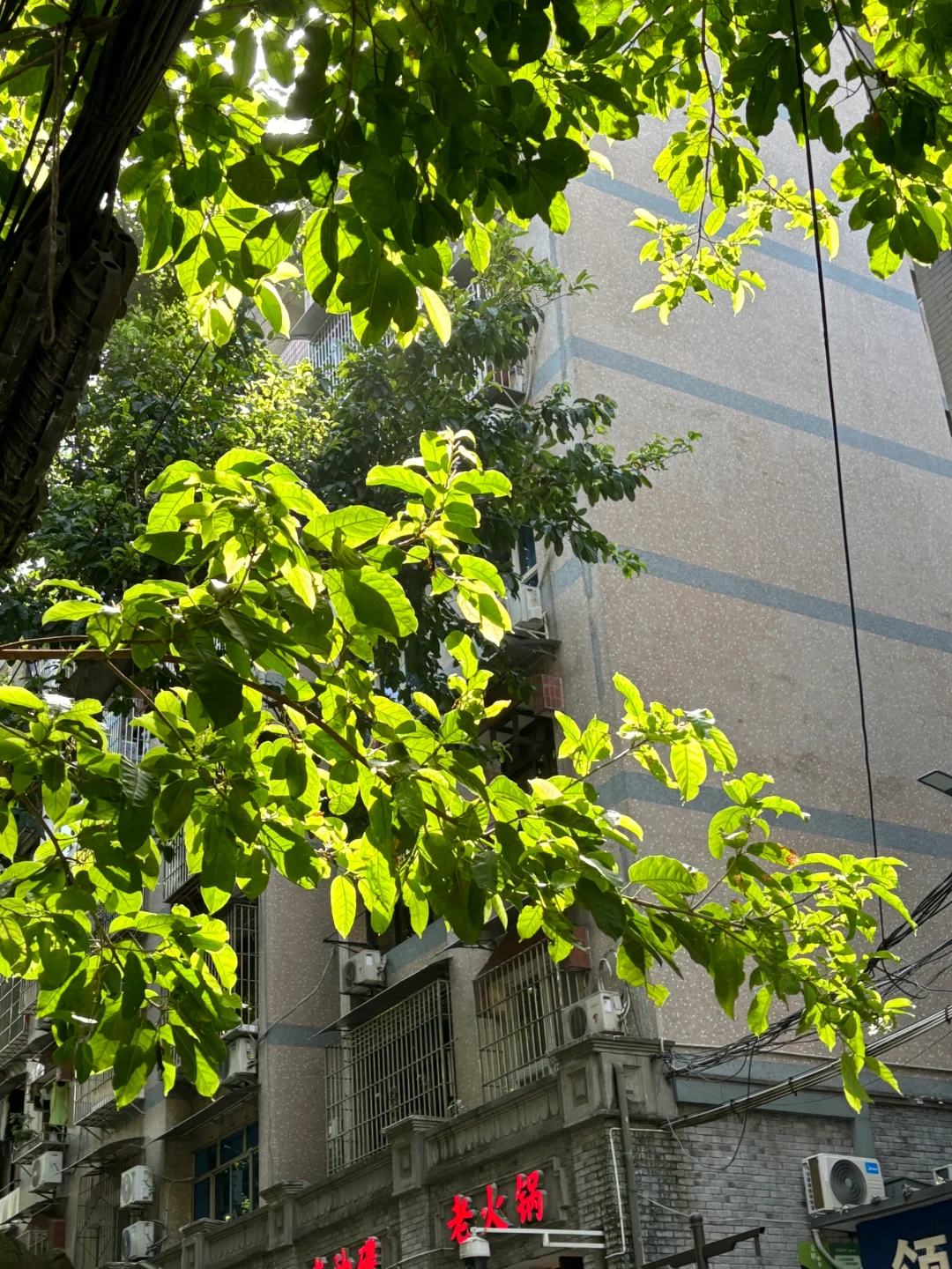 📍 𝑪𝒉𝒐𝒏𝒈𝒒𝒊𝒏𝒈重逢便是庆