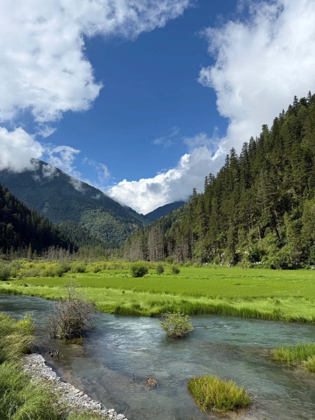8.9📍九寨沟已回，已被宰🤬内容很脏，但真实