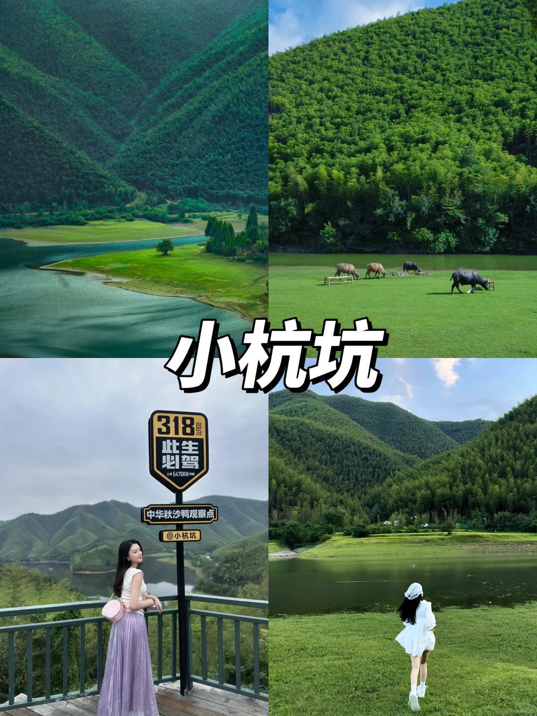 这是安吉！！属于江浙沪自己的阿勒泰⛰️