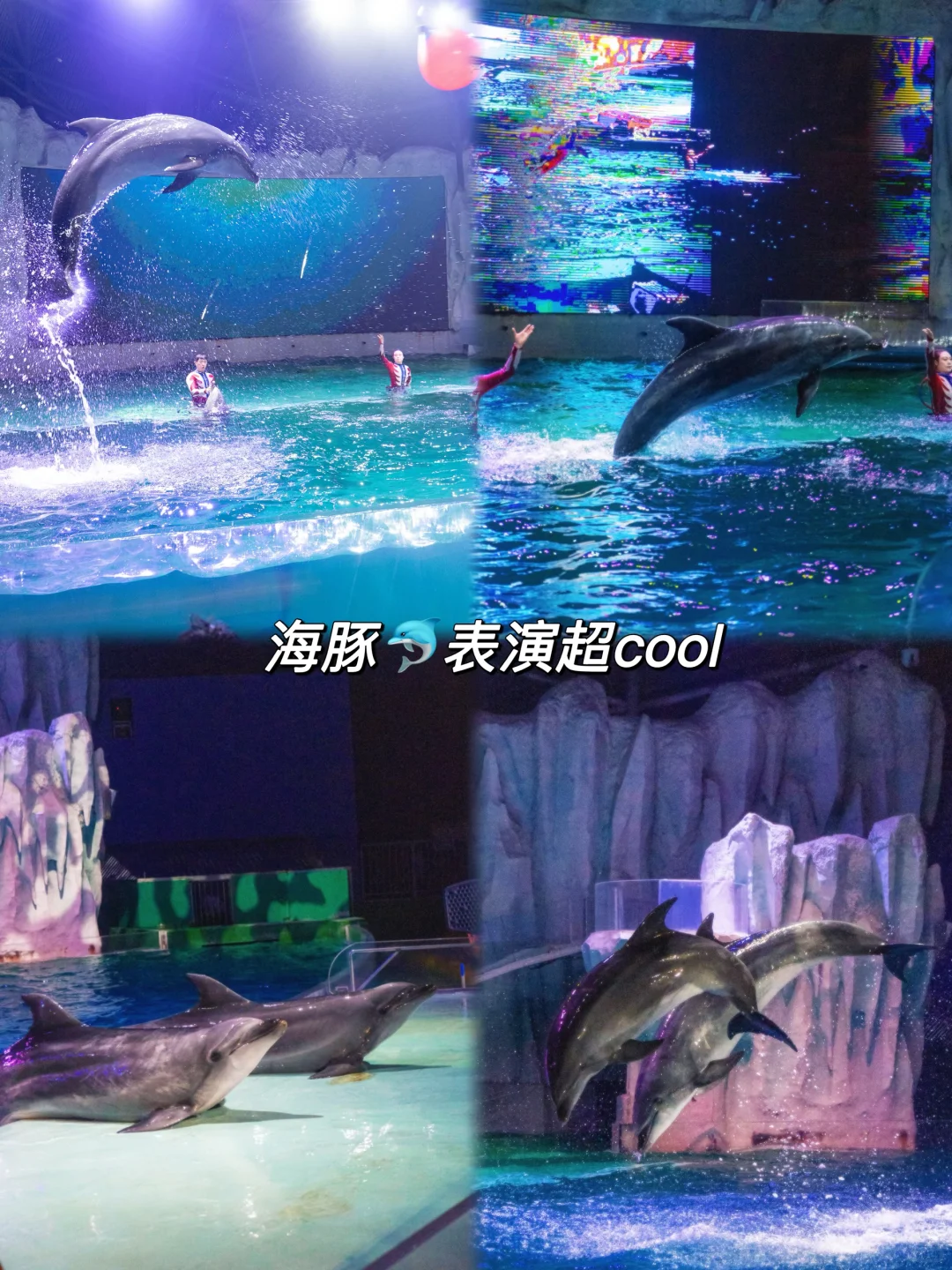 哈尔滨必打卡景点，十一极地馆速通攻略！