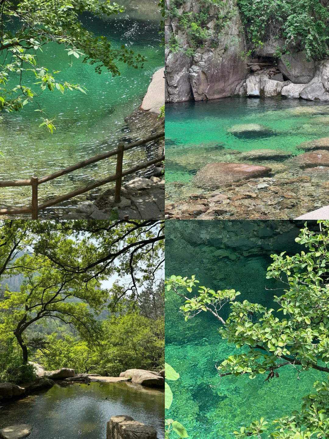 真没去九寨沟！在青岛！⛰️