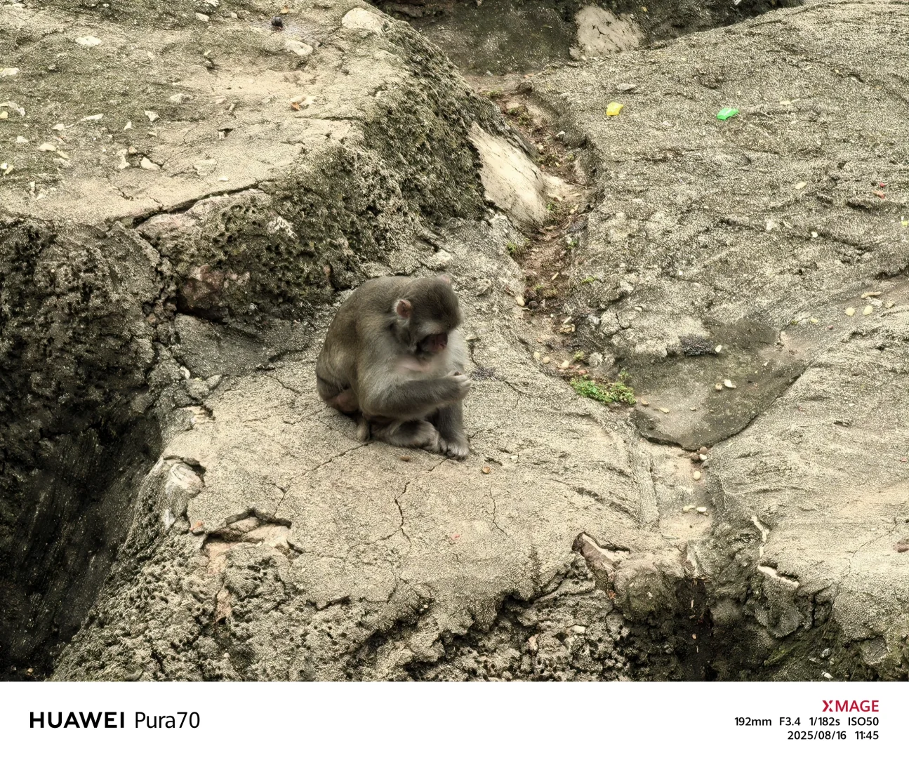 大理小众景点-洱海公园