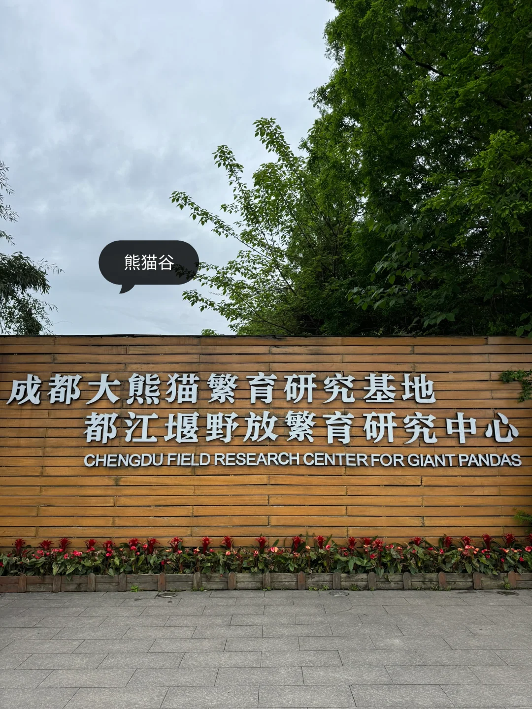 都江堰市一日游攻略