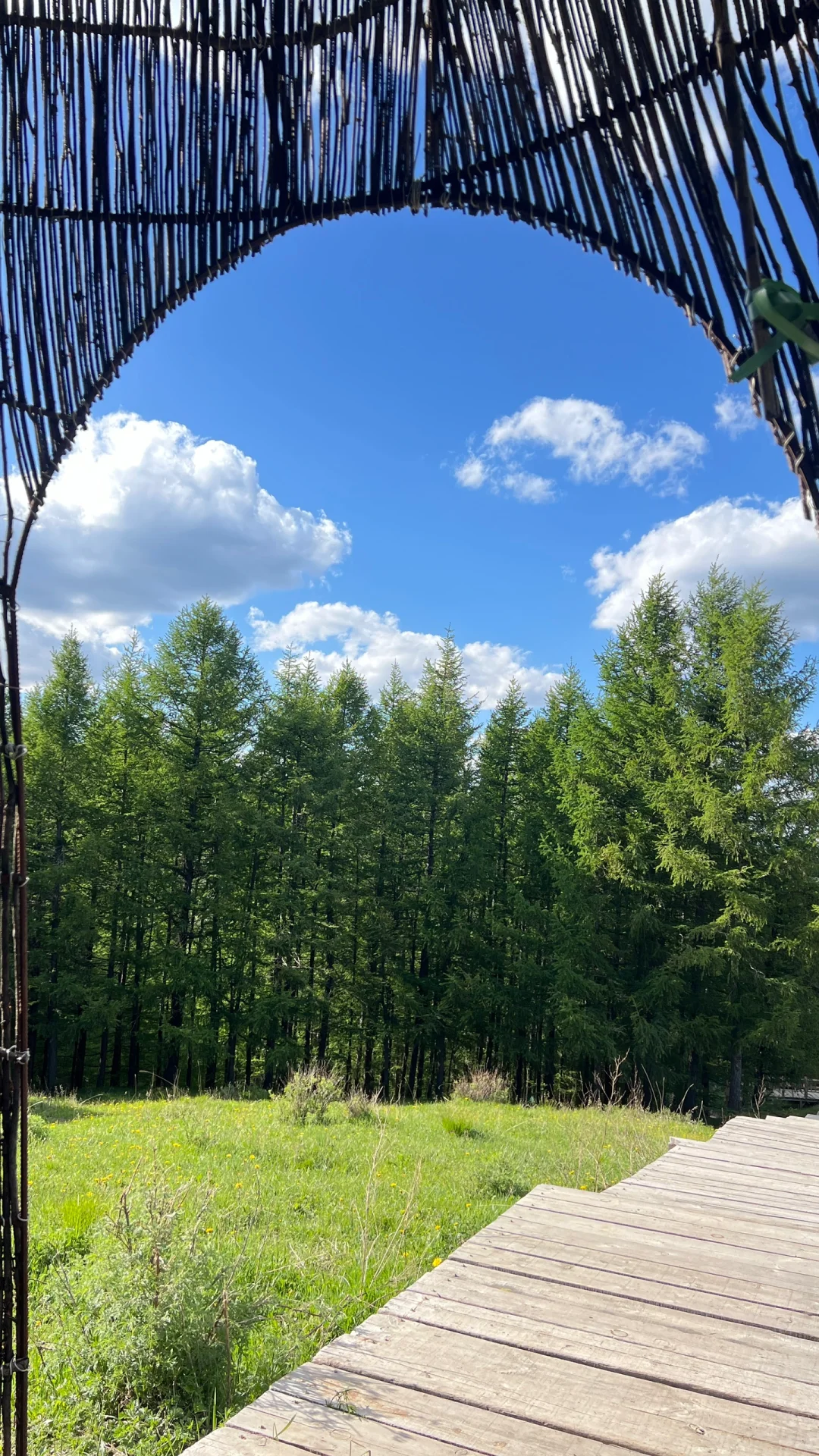 大同周边｜当日往返小众出片旅游景点🌲