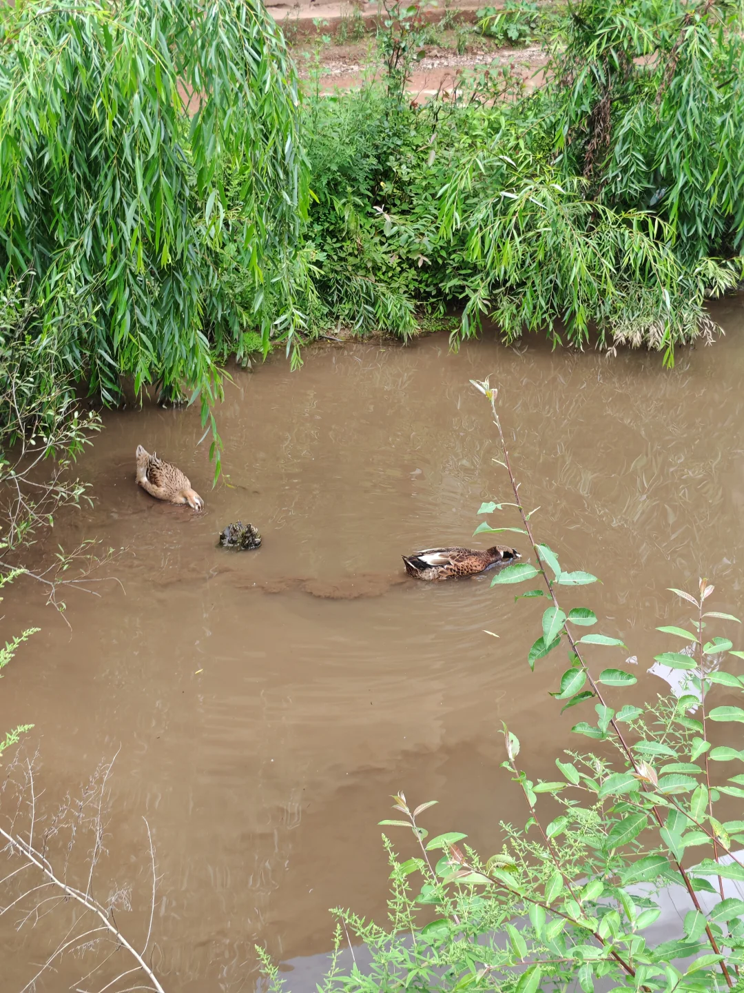 沙溪小众景点-马坪关
