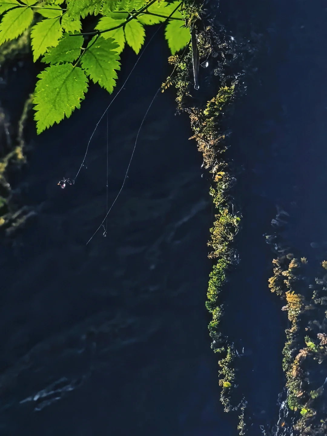 官鹅沟 千年爱恋铸就的陇南秘境