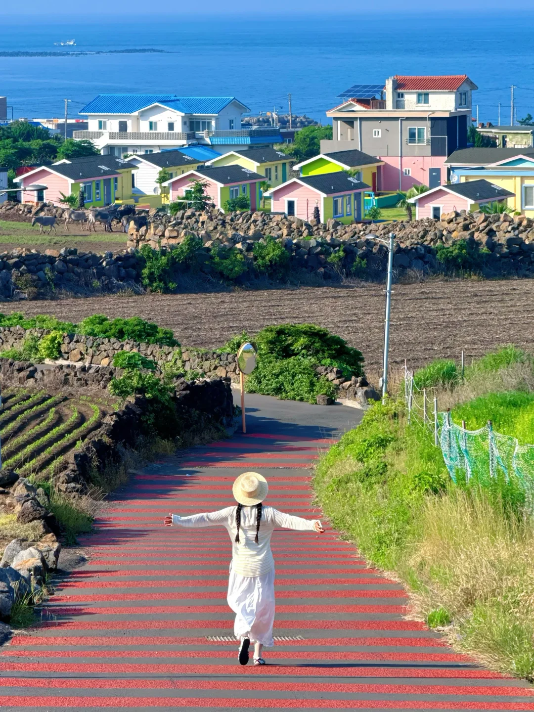 为了这18张图特意去了趟🇰🇷济州岛，附机位