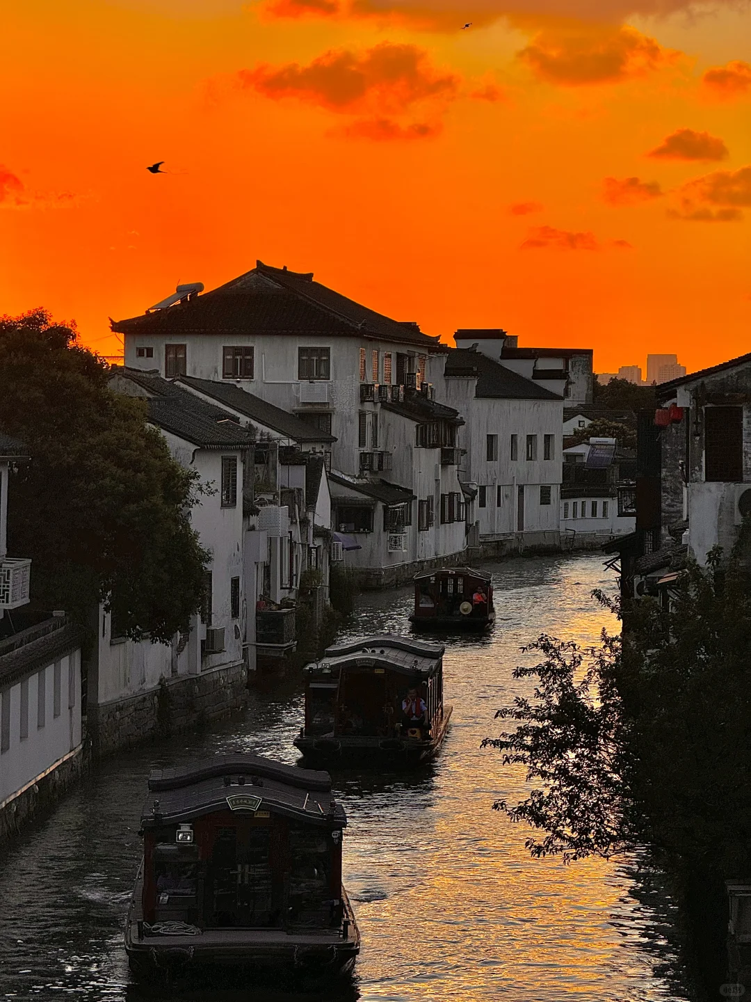 live合集！苏州的油画晚霞美到next level了