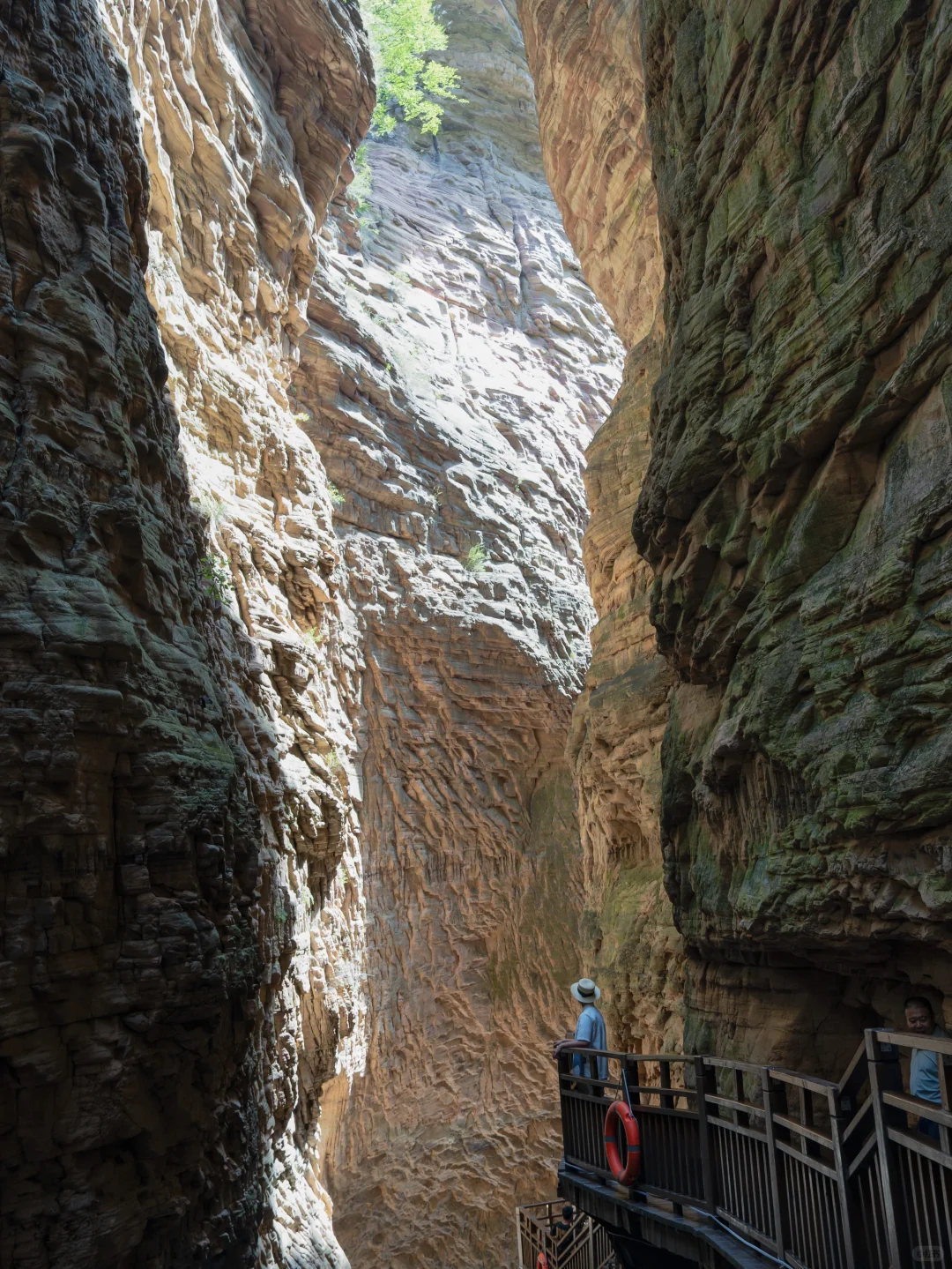 山西😭不宣传这里，你糊涂啊…