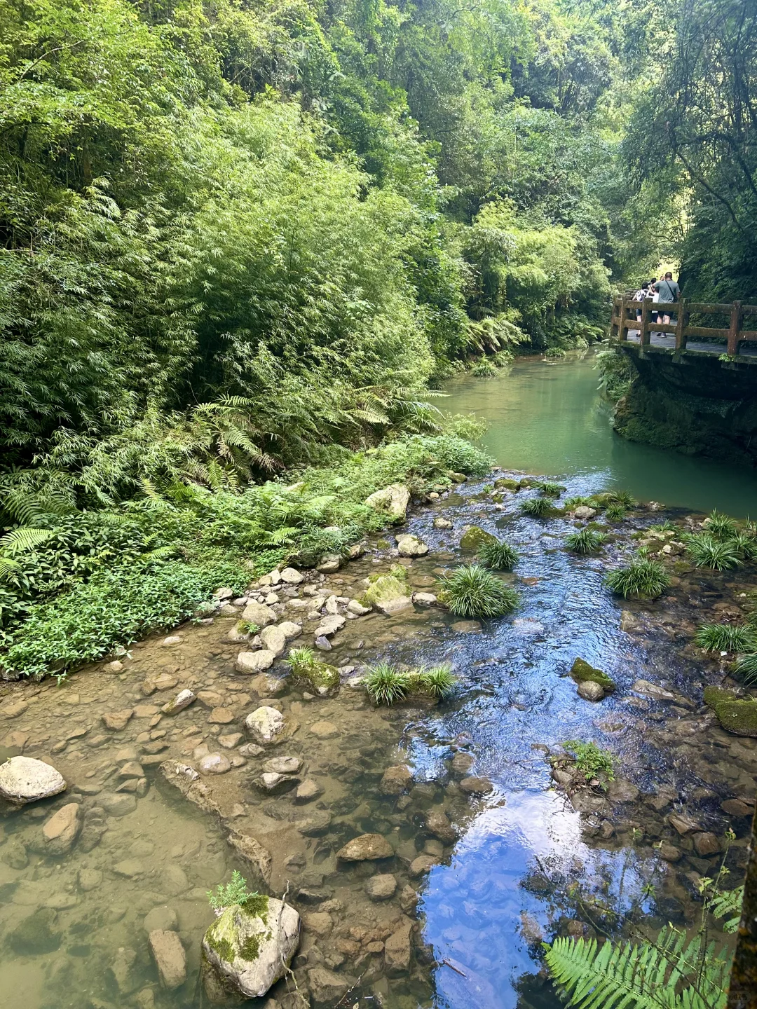 周末来山里吸氧啦