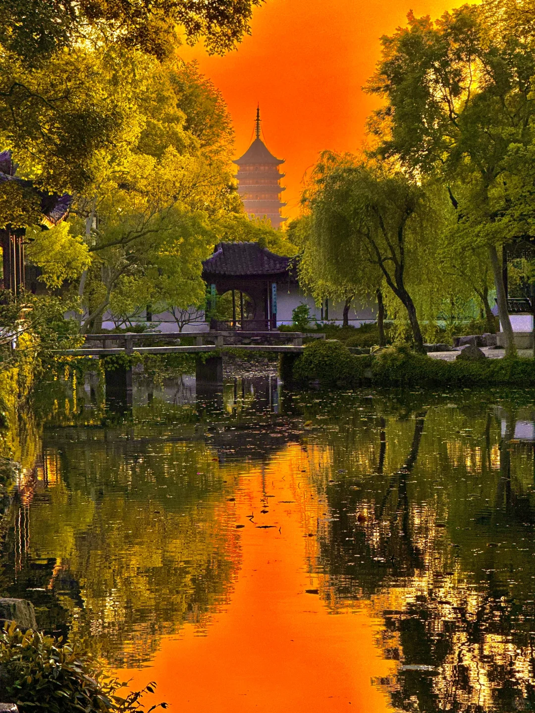 live合集！苏州的油画晚霞美到next level了