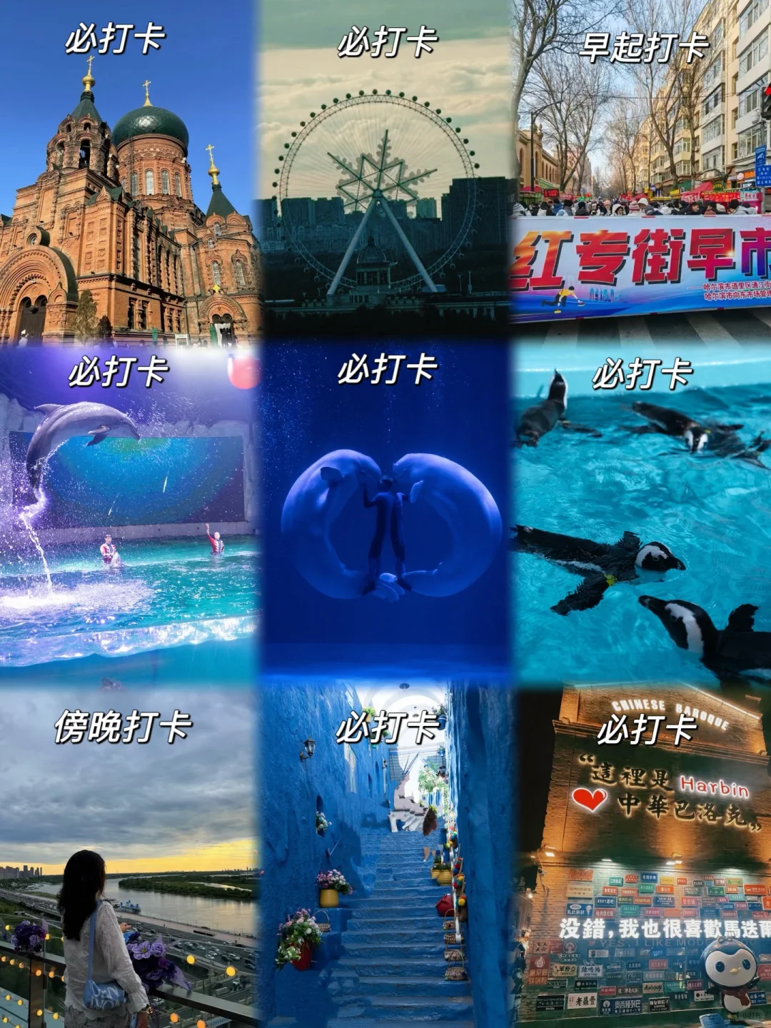 哈尔滨必打卡景点，十一极地馆速通攻略！