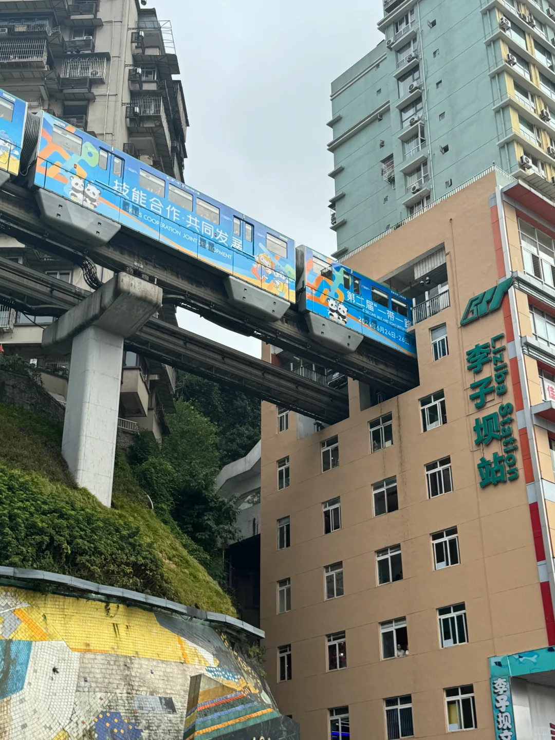 📍 𝑪𝒉𝒐𝒏𝒈𝒒𝒊𝒏𝒈重逢便是庆